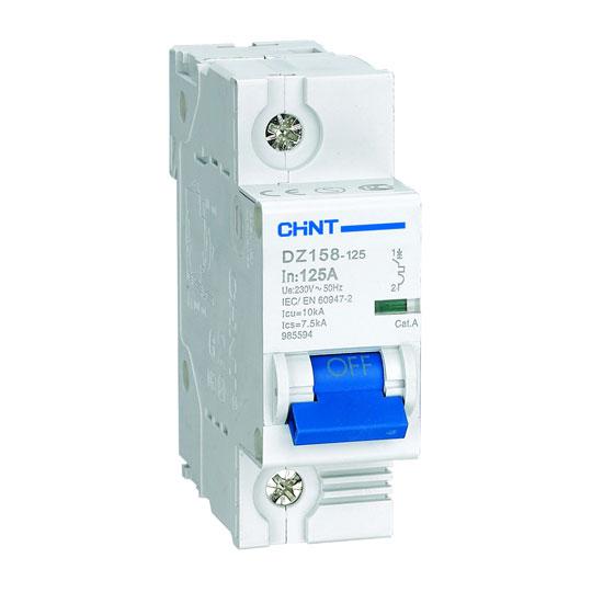 DZ158 10kA 1P 100A Circuit Breaker