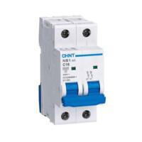 NB1H-63 2P C2 10kA double busbar